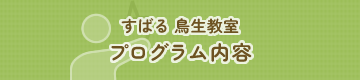 すばる 鳥生教室 プログラム内容